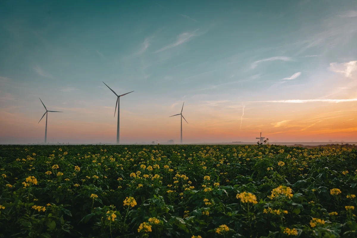 Ökogas und Biogas in Deutschland: klimafreundlich heizen mit Durchblick
